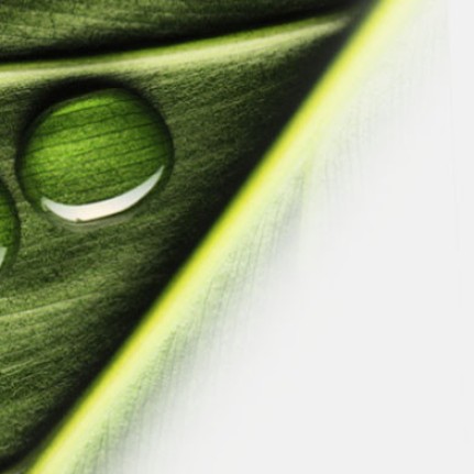 aaaaaa